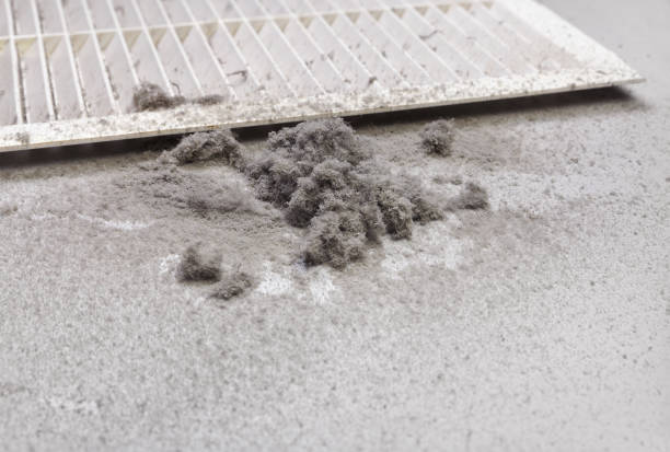 Best Affordable Duct Cleaning Services  in Pendergrass, GA